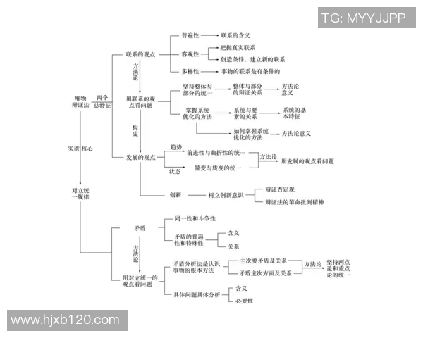 深圳排球队在锦标赛中的意识表现分析与总结