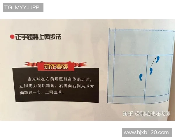 深圳羽毛球队运营策略深度分析与发展前景展望
